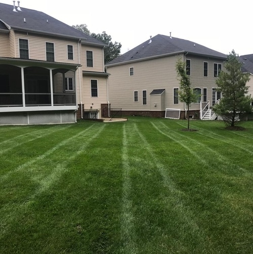 Lawn Fertilization